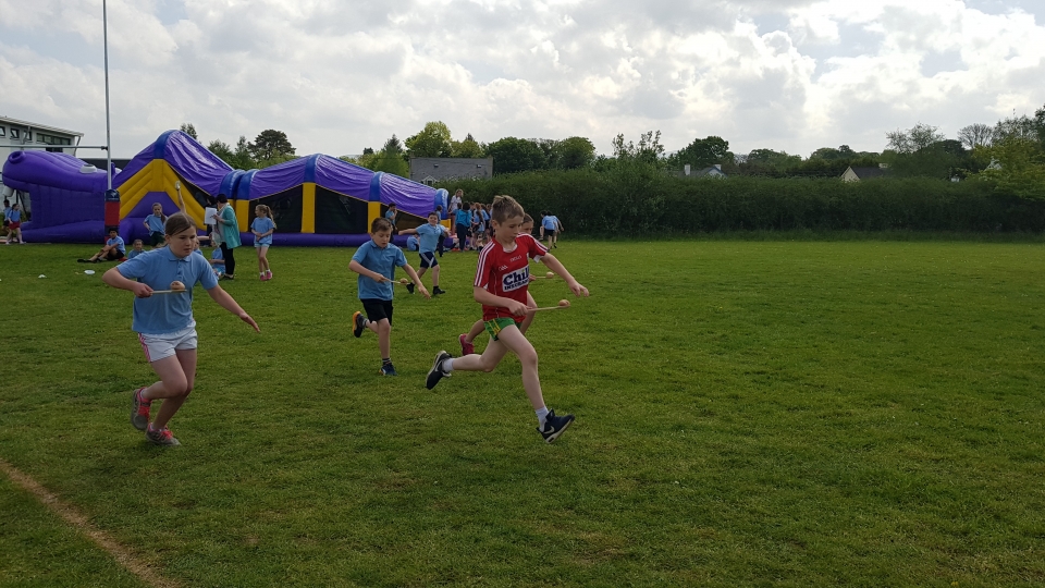 Sports Day May 2017 (79)