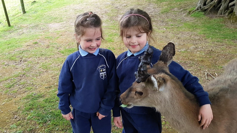 Junior Infants School Tour May 2017 Kennedys (14)-min