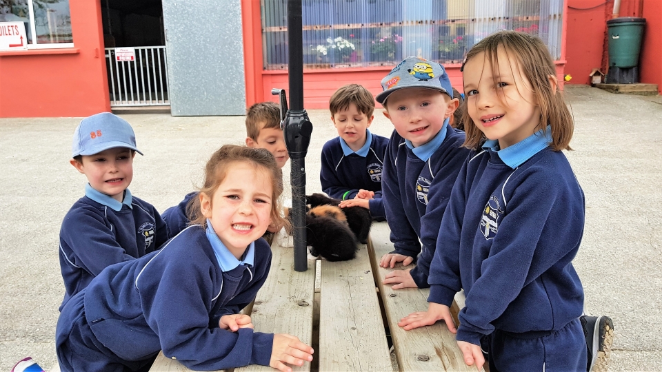 Junior Infants School Tour May 2017 Kennedys (28)-min