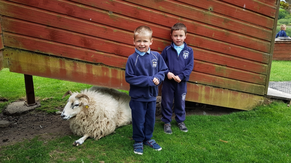 Junior Infants School Tour May 2017 Kennedys (37)-min
