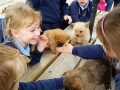Junior Infants School Tour May 2017 Kennedys (26)-min